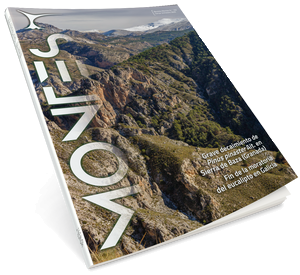 Revista Montes, nº 162
