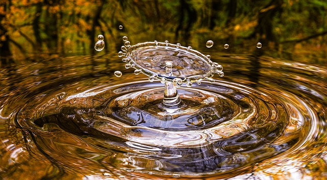 Declaración del Colegio Oficial de Ingenieros de Montes en el Día Mundial del Agua