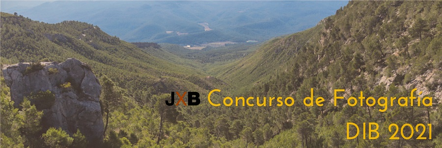 Concurso de fotografía DIB 2021