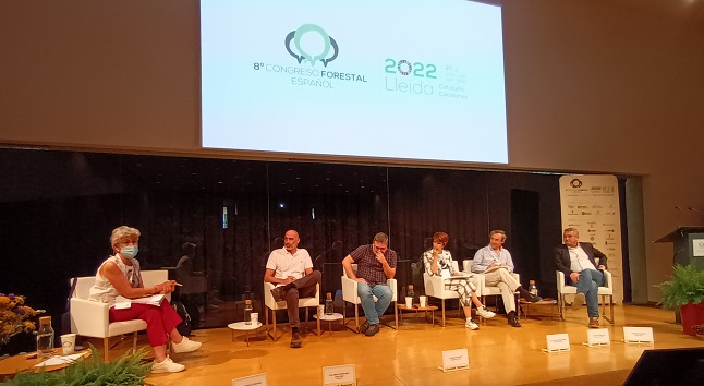 Resumen de la mesa redonda 8CFE: Y después de repoblar, ¿qué? Gestión forestal y captación de Carbono