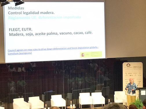 La gestión integral forestal-rural es el objetivo principal que guía la futura Estrategia Forestal Española