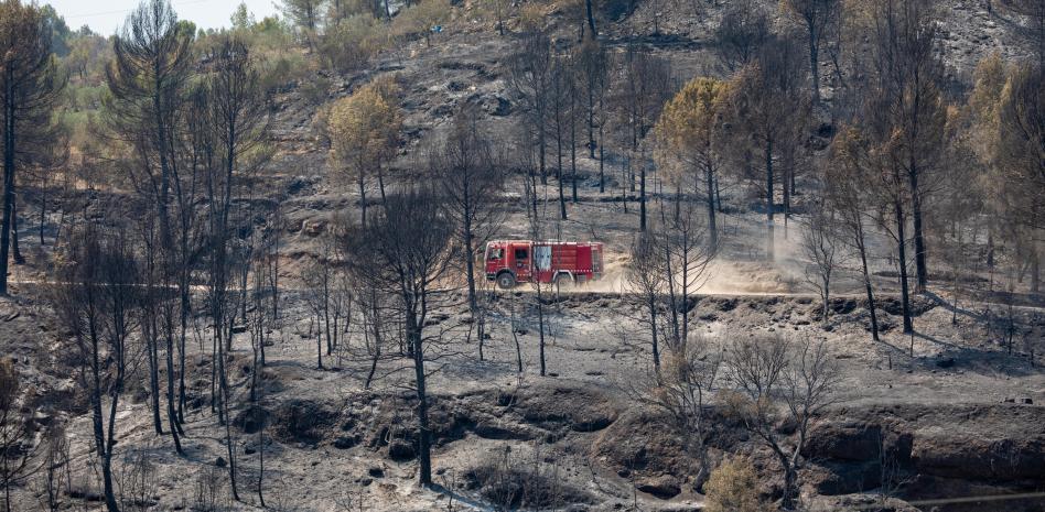  ¿Quemar biomasa es la solución para prevenir incendios?