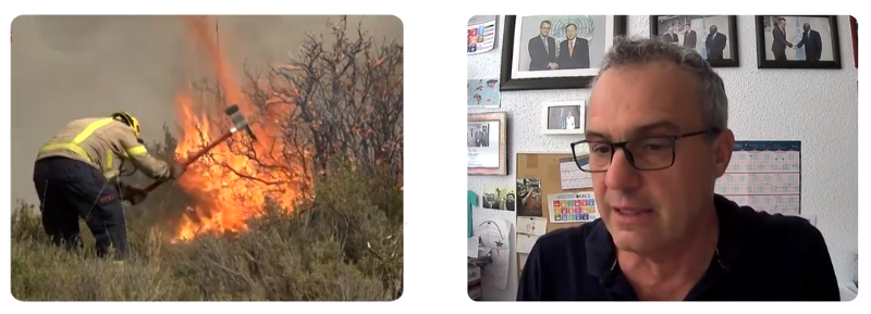 ABC Explica: ¿Por qué hay incendios tan destructivos este verano?