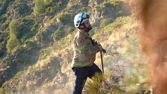 La paradoja de la extinción o por qué debería haber más incendios para olvidarnos de ellos