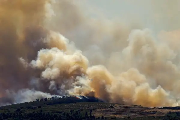 La propuesta de los ingenieros de montes a los grandes incendios: “La vacuna del territorio es la gestión”