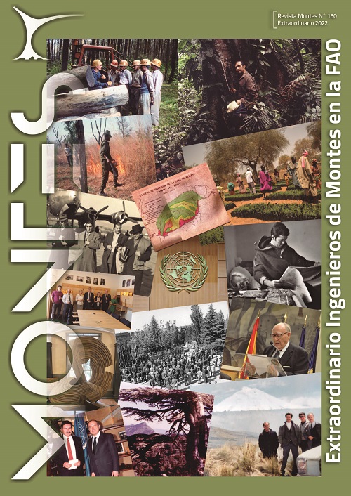 Nuevo número extra de la Revista Montes ... ¡SOLO ON-LINE!