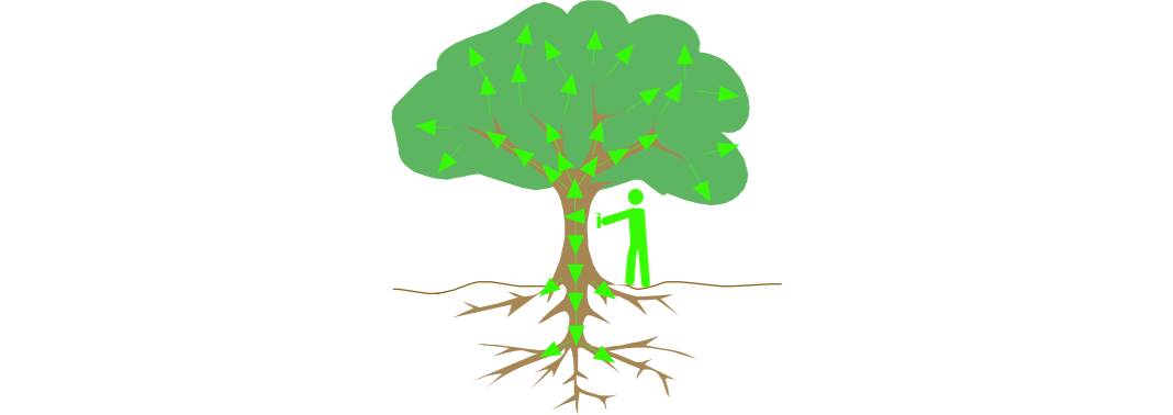 Curso: Endoterapia en árboles ornamentales