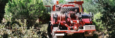 Curso de gestión de la seguridad en los incendios forestales (Homologado)