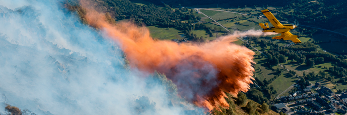 Curso: The Emergency Program Advance TEP - Incendios Forestales