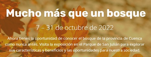 Mucho más que un bosque, la Exposición