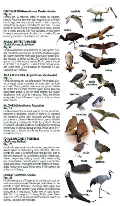 La Guía de Aves de La Rioja nos acerca a las 236 especies de aves silvestres que se pueden ver en esta comunidad