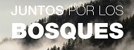 IV Foro de cohesión territorial