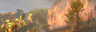 Curso básico para la extinción de incendios forestales (Homologado)