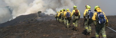 Curso: Mando intermedio para la extinción de incendios forestales (Homologado)