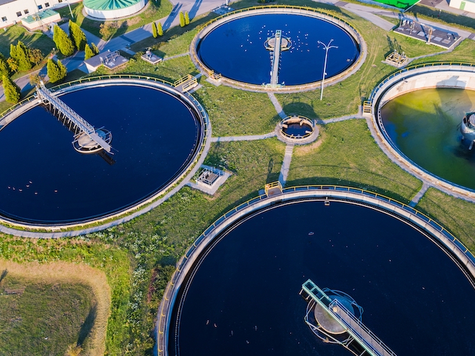 Vigilancia en tiempo real de la toxicidad del agua