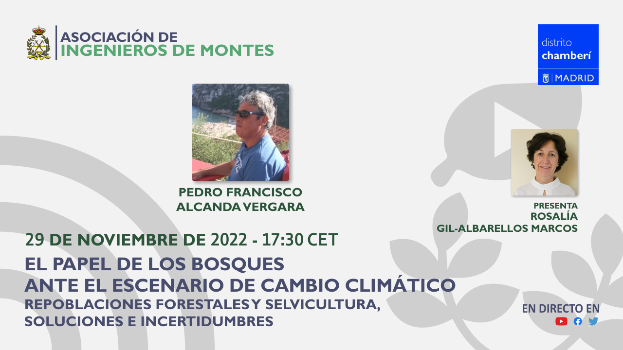 Seminario web 