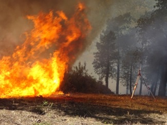 Así funciona un Laboratorio de Incendios Forestales