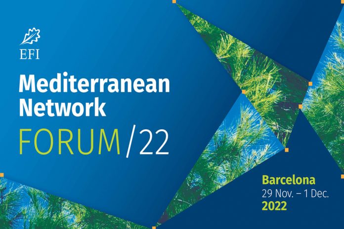 EFI Mediterranean Network Forum 2022