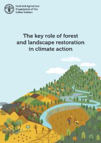 La restauración de bosques y paisajes tiene un 