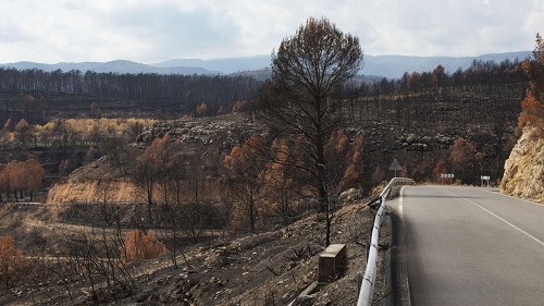 La UPV desarrolla un modelo para limitar el riesgo de emisiones de gases de efecto invernadero en los incendios forestales