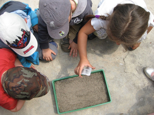 Dia Mundial de la Educación Ambiental