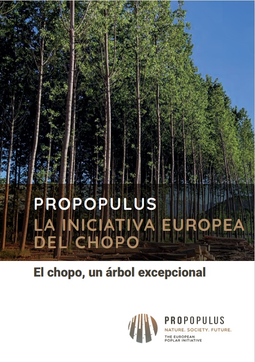 El chopo, un árbol excepcional