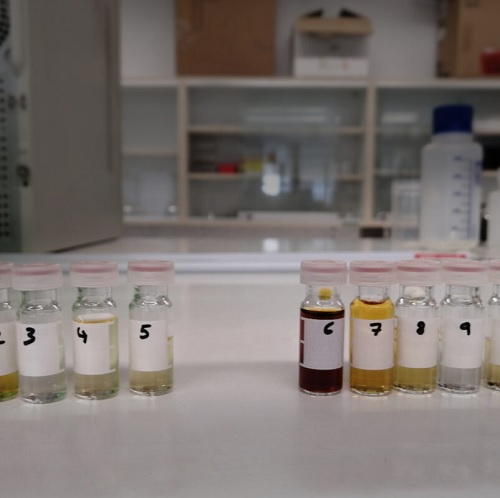 CEBIOREF: nuevo proyecto para producir biocombustibles, fertilizantes y sensores a partir de biomasa