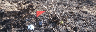 Curso de Especialista de investigación de causas de los incendios forestales (Homologado)
