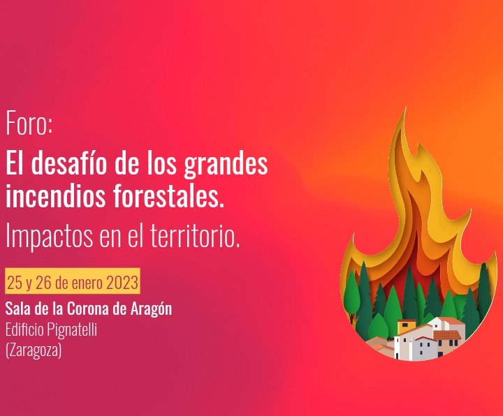 Contenidos del Foro 