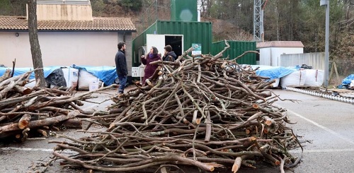 Diseñan una biorrefinería móvil que reaprovecha la biomasa forestal
