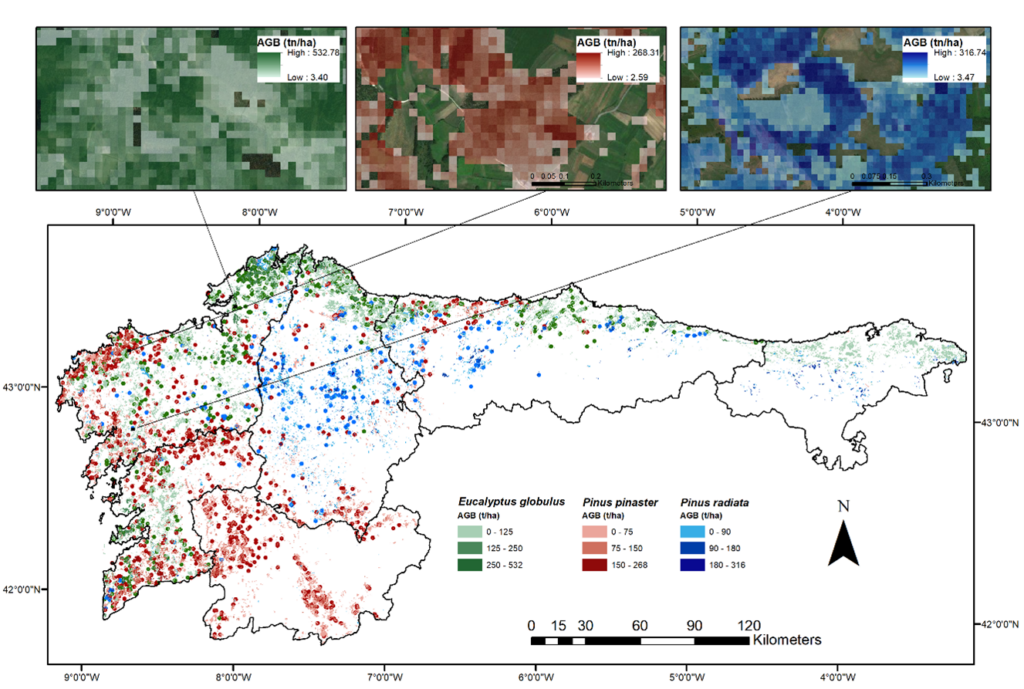 Sensores remotos e inteligencia artificial: un mix perfecto al servicio de la gestión forestal