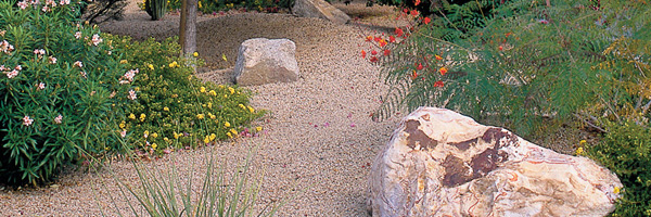 Curso de xerojardínería