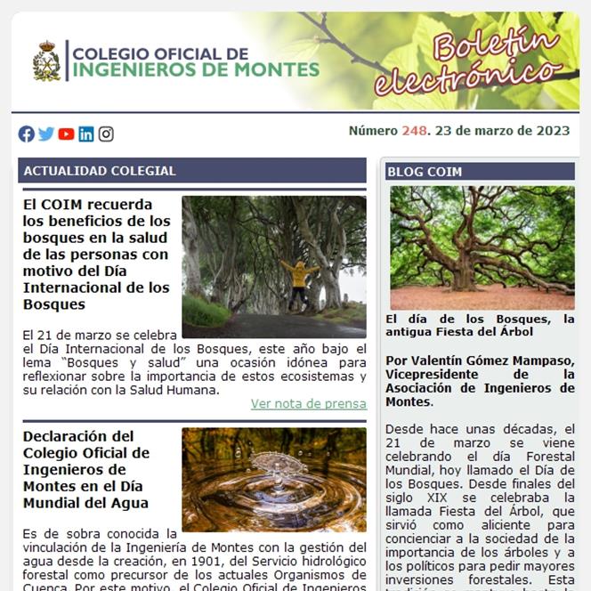Publicado el Boletín Informativo número 248