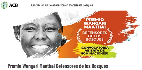 Convocatoria FAO del premio Wangari Maathai “Defensores de los Bosques”