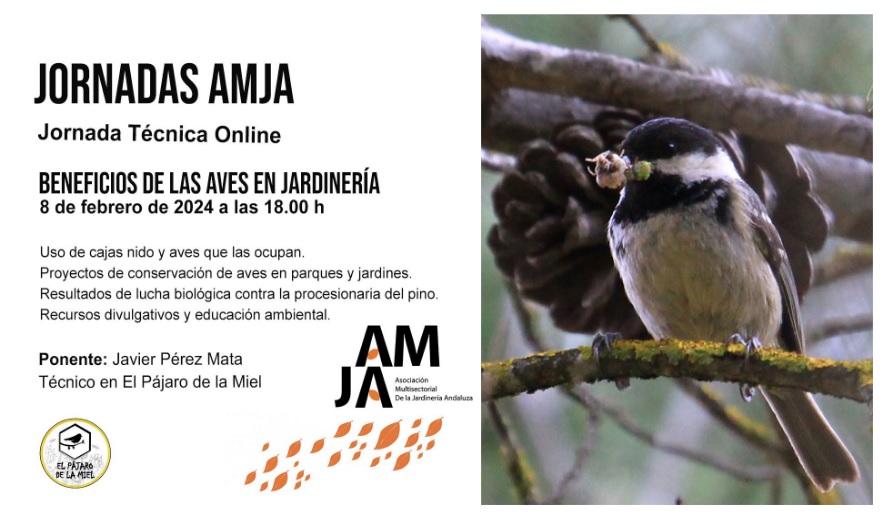 Jornada Técnica AMJA 