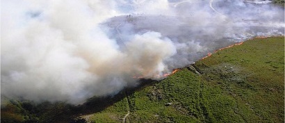 Curso de Analista de incendios forestales (Homologado)
