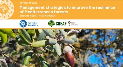 Curso Avanzado Estrategias de gestión para mejorar la resiliencia de los bosques mediterráneos