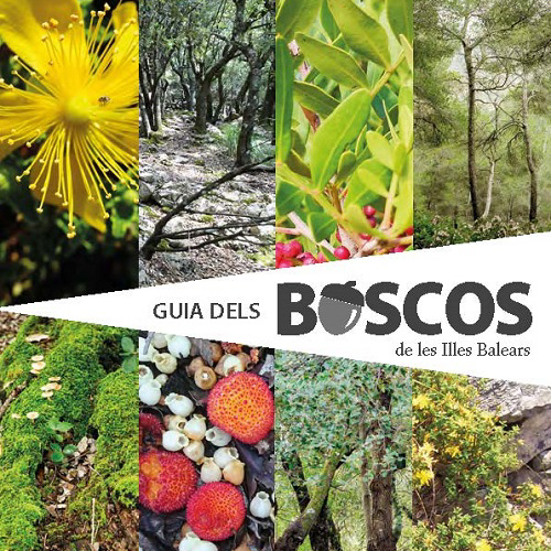Xarxa Forestal publica la tercera edición de la Guía de los bosques de Baleares