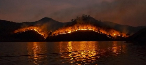 El CSIC analiza el impacto de los incendios forestales en los ecosistemas marinos