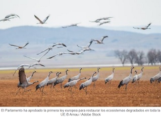 El Parlamento Europeo ha aprobado la Ley de Restauración de la Naturaleza
