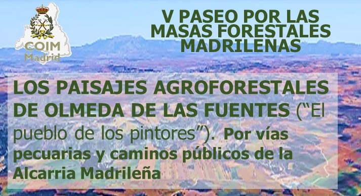 V PASEO POR LAS MASAS FORESTALES MADRILEÑAS 