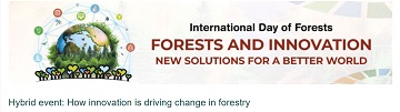 How innovation is driving change in forestry