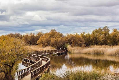 Las Tablas de Daimiel Espacio Protegido Amenazado