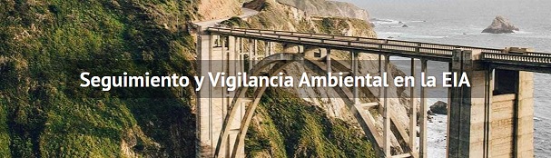 Curso: Seguimiento y Vigilancia Ambiental en la EIA