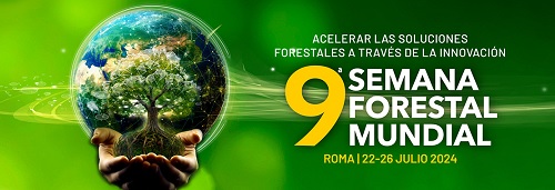 Comité Forestal (COFO/27)