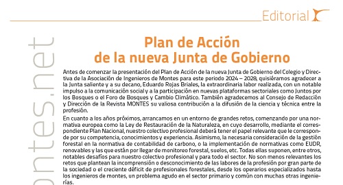Plan de Acción de la nueva Junta de Gobierno del COIM