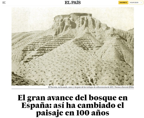 El gran avance del bosque en España: así ha cambiado el paisaje en 100 años