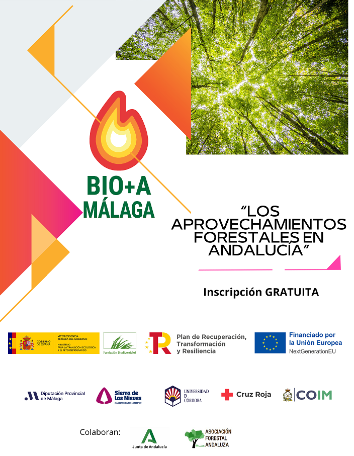 Grabaciones jornadas Bio+A Málaga 2024