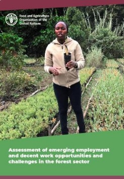 Nuevo informe de la FAO: Assessment of emerging employment and decent work opportunities and challenges in the forest sector 