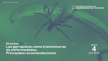 Video de “Las garrapatas como transmisoras de enfermedades. Principales recomendaciones”
